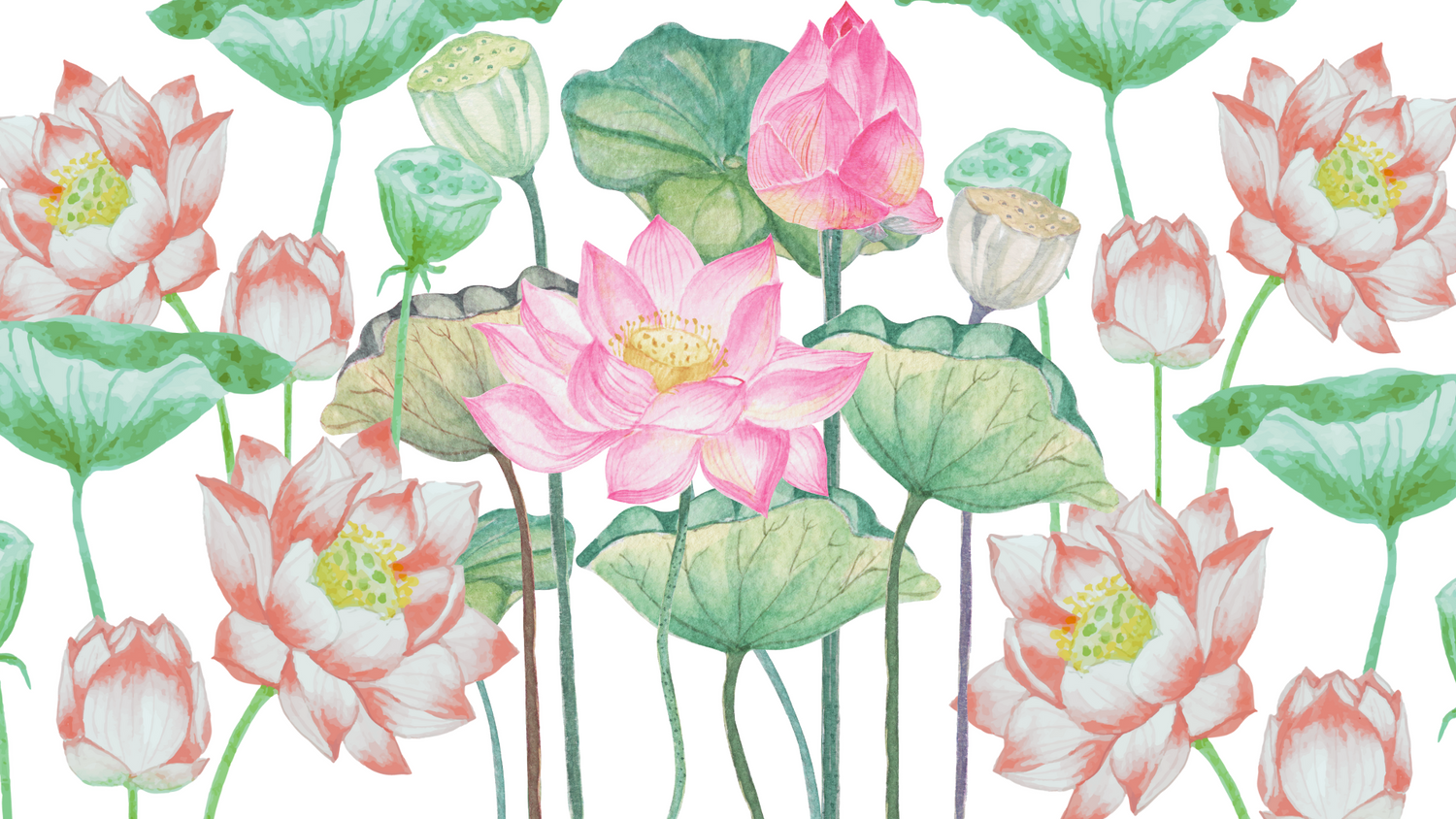 Discovering Ren Beaulieu meaning Lotus flower front