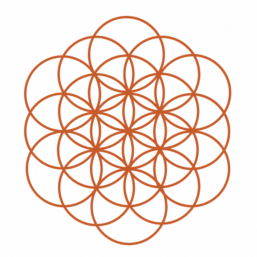Flower of life transformation