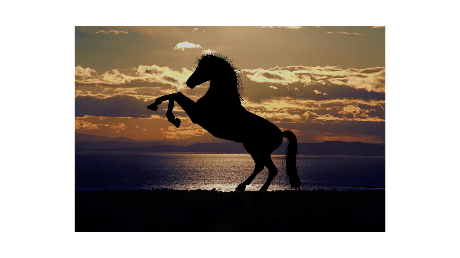Discovering Ren Beaulieu horse image side